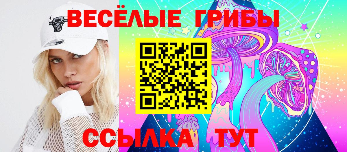 Галлюциногенные грибы прущие грибы Апшеронск